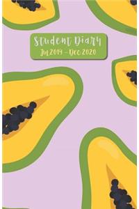 Student Diary Jul 2019 - Dec 2020