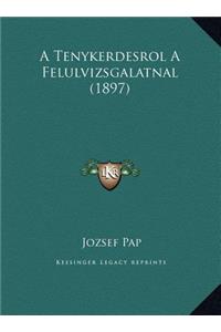 A Tenykerdesrol A Felulvizsgalatnal (1897)