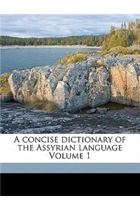 A concise dictionary of the Assyrian language Volume 1