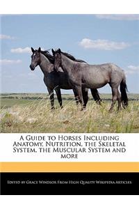 A Guide to Horses Including Anatomy, Nutrition, the Skeletal System, the Muscular System and More