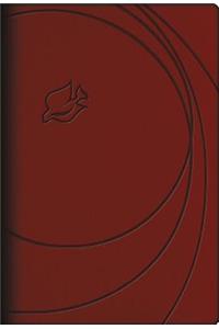 New Spirit-Filled Life Bible-NLT