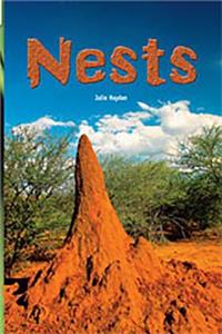 Nests
