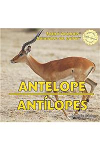 Antelope / Antílopes