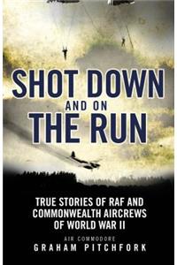 Shot Down and on the Run