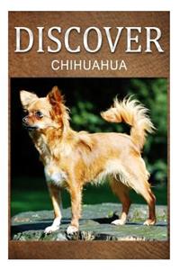 Chihuahua - Discover