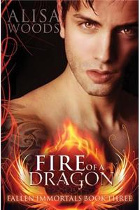 Fire of a Dragon (Fallen Immortals 3) - Paranormal Fairytale Romance