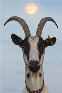 Gorgeous Goat Animal Journal