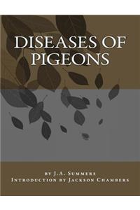 Diseases of Pigeons