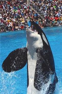 Orca Killer Whale Jumping Out of the Water Journal