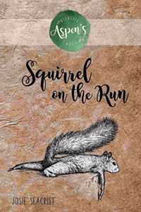 Squirrel on the Run