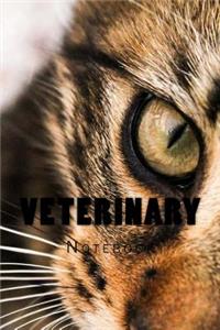 Veterinary