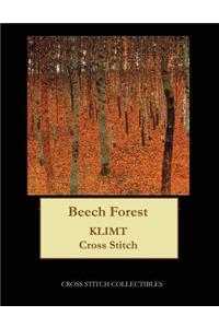 Beech Forest