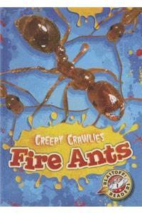 Fire Ants