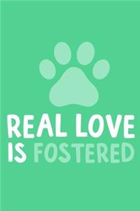 Real Love Is Fostered