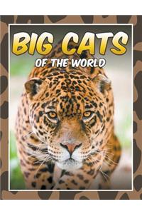 Big Cats of the World