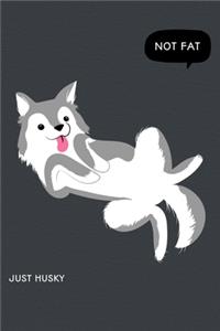 Not Fat, Just Husky