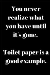 You never realize what you have until it's gone. Toilet paper is a good example.
