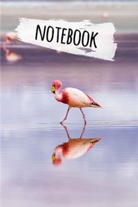 Flamingo Notebook