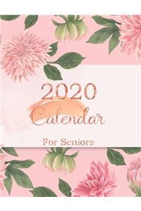 2020 Calendar for Seniors
