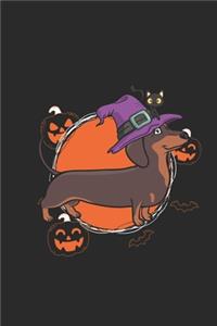 Halloween Dachshund