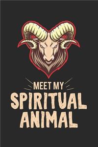 Meet my spiritual animal goat