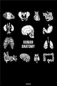 Human Anatomy Notebook