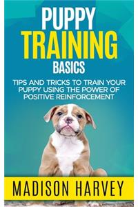 Puppy Training Basics