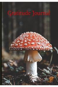 Gratitude Journal: Red Mushroom in a Forest Journal to Record All the Things That Nature Lovers Can Be Thankful for