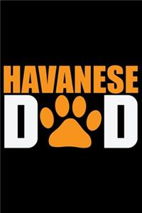 Havanese Dad