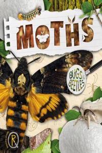 Moths