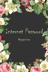 Internet Password Organizer