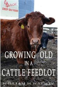 Growing Old in a Cattle Feed lot