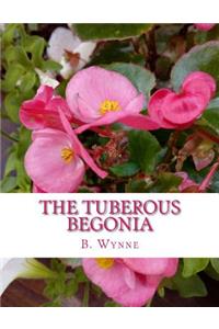 Tuberous Begonia