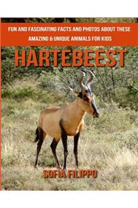 Hartebeest