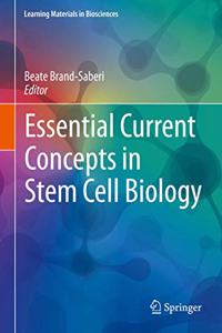 Essential Current Concepts in Stem Cell Biology