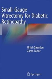 Small-Gauge Vitrectomy for Diabetic Retinopathy
