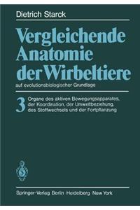 Vergleichende Anatomie Der Wirbeltiere Auf Evolutionsbiologischer Grundlage