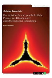 Der individuelle und gesellschaftliche Prozess zur Bildung unter chaostheoretischer Betrachtung