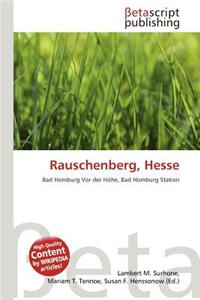 Rauschenberg, Hesse