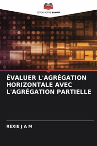 Évaluer l'Agrégation Horizontale Avec l'Agrégation Partielle