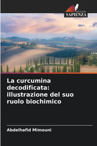 curcumina decodificata