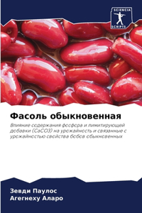 Фасоль обыкновенная