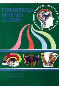 Fundamentals of Human Anatomy: v. 2