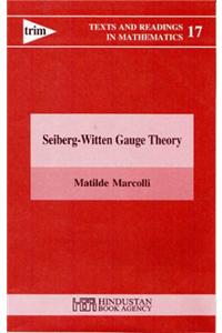 Seiberg Witten Gauge Theory