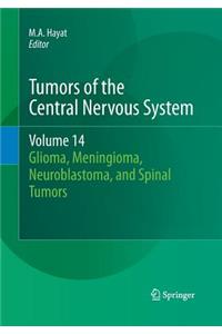 Tumors of the Central Nervous System, Volume 14