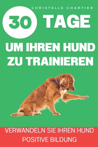 Die Methode, seinen Hund in 15 Minuten / Tag zu trainieren