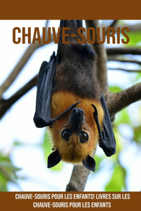 Chauve-Souris