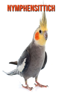 Nymphensittich