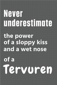 Never underestimate the power of a sloppy kiss and a wet nose of a Tervuren