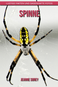 Spinne